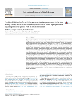 Combined SEM and Reflected Light Petrography of Organic Matter in The