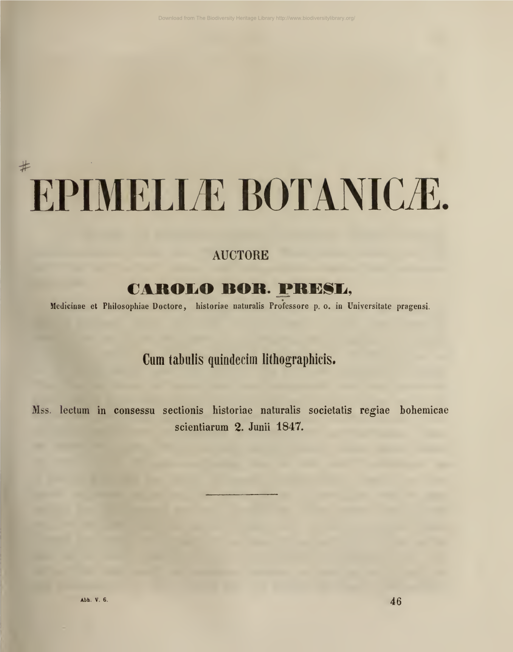 EPIMELLE Botanicte