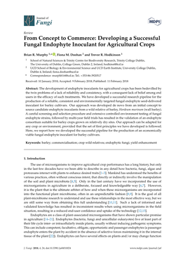 Developing a Successful Fungal Endophyte Inoculant for Agricultural Crops