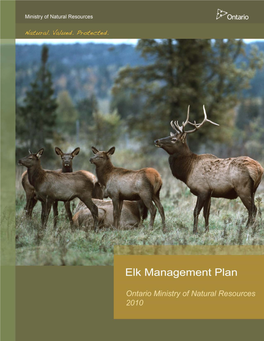 Ontario Elk Management Plan 2010 FINAL