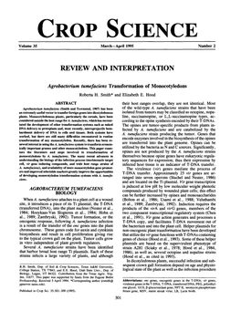 (1995) Agrobacterium Tumefaciens Transformation of Monocotyledons