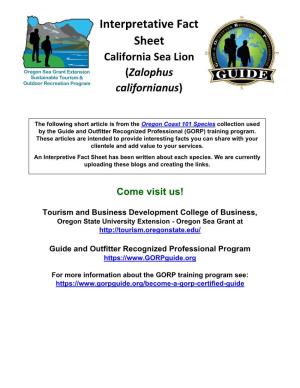 California Sea Lion (Zalophus