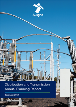 Distribution and Transmission Annual Planning Report