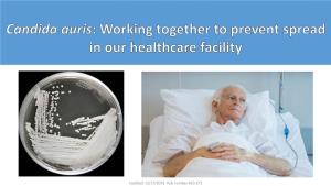 Candida Auris: Working Together to Prevent Spread in Our Healthcare