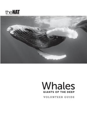Whales: Giants of the Deep March 19, 2016 Through September 5, 2016