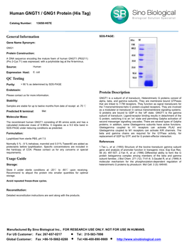Human GNGT1 / GNG1 Protein (His Tag)