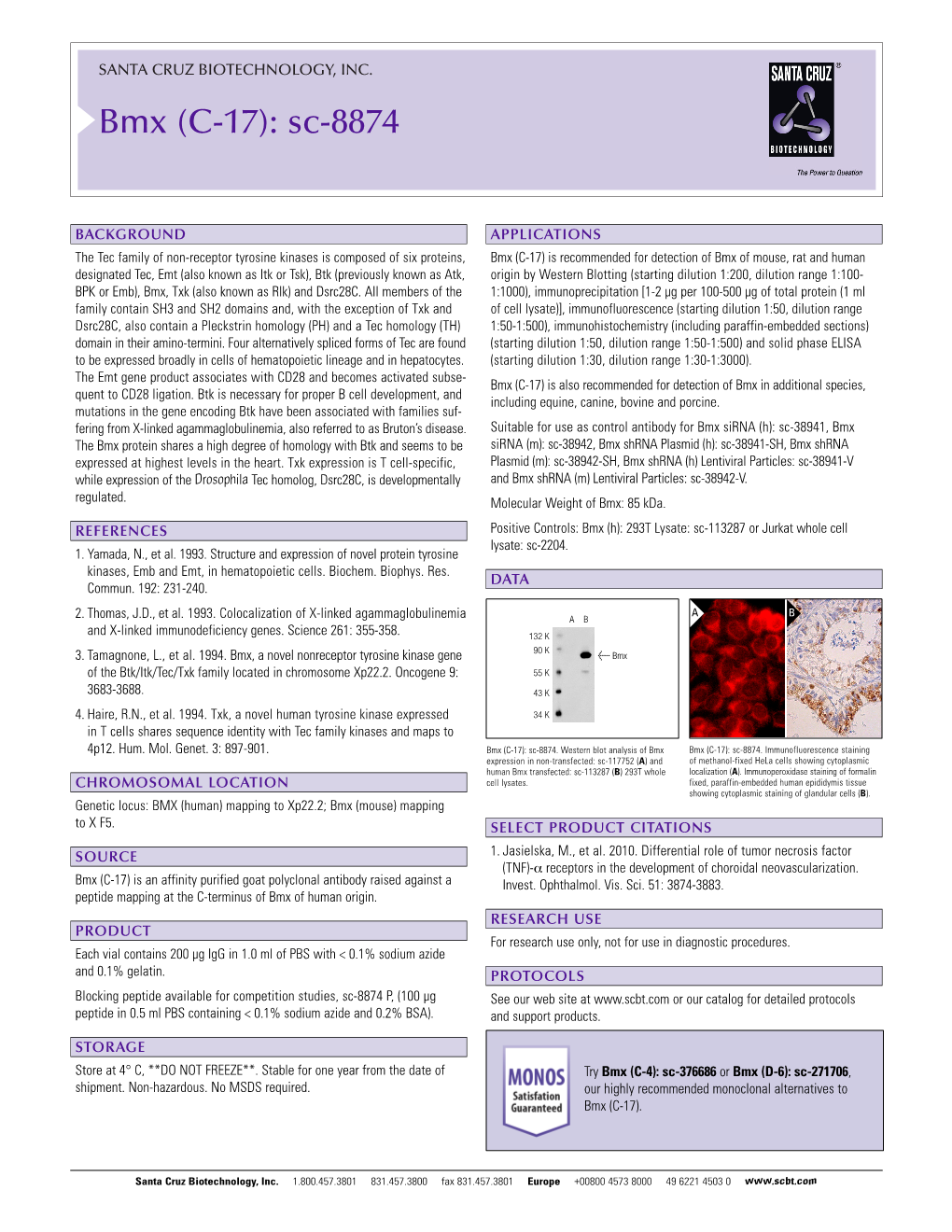 Datasheet Blank Template