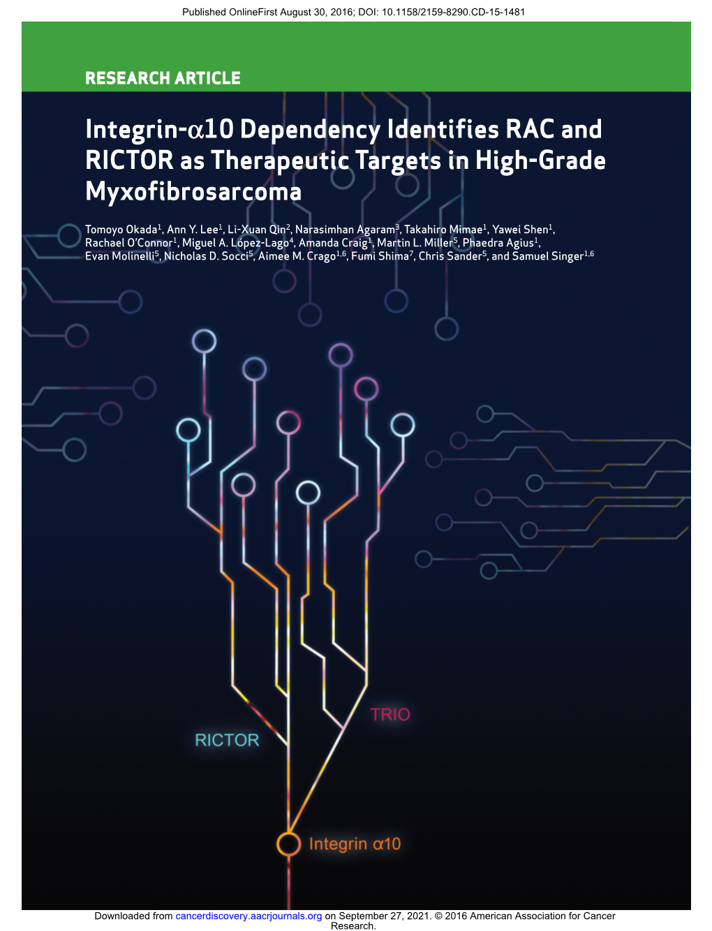 Integrin- `10 Dependency Identiﬁ Es RAC and RICTOR As Therapeutic Targets in High-Grade Myxoﬁ Brosarcoma