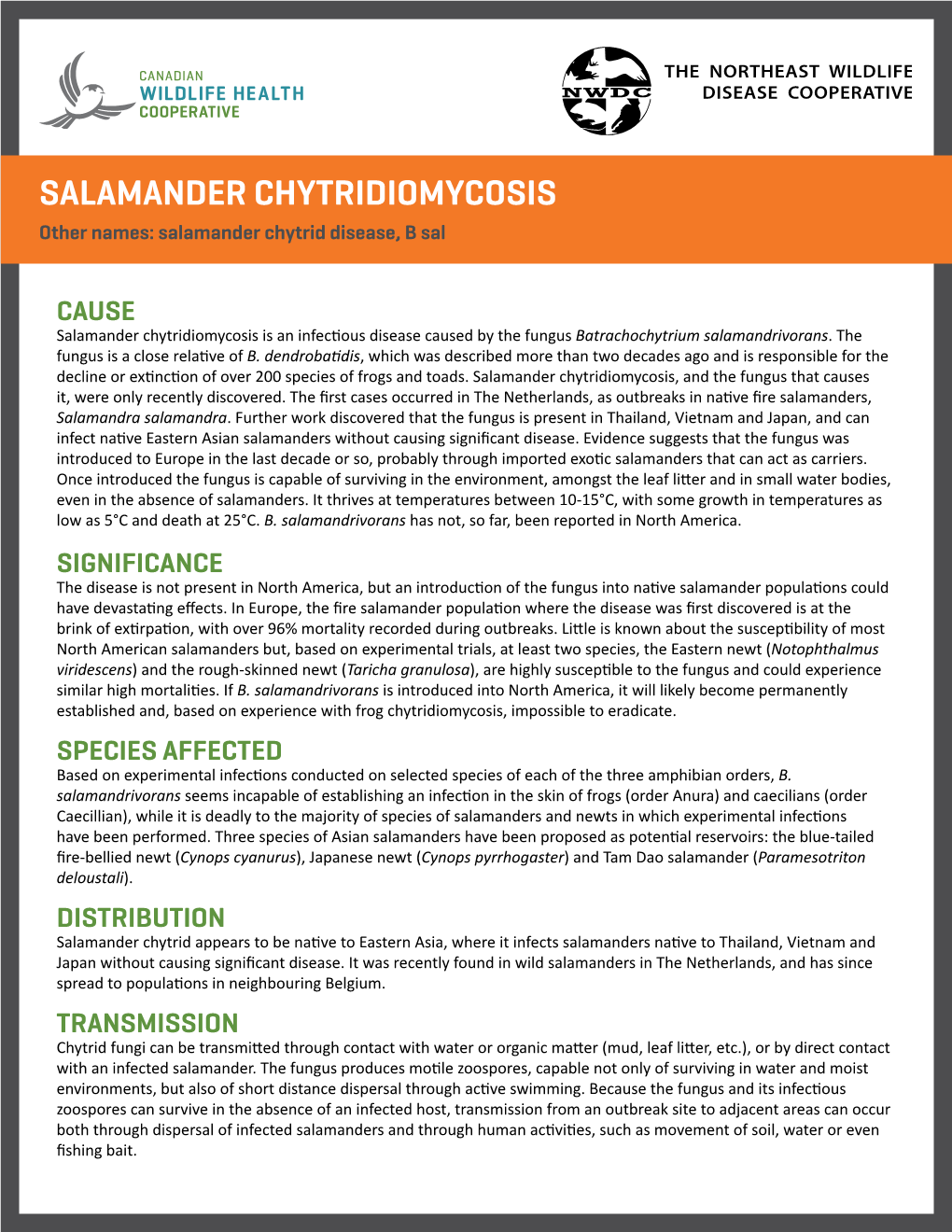 SALAMANDER CHYTRIDIOMYCOSIS Other Names: Salamander Chytrid Disease, B Sal