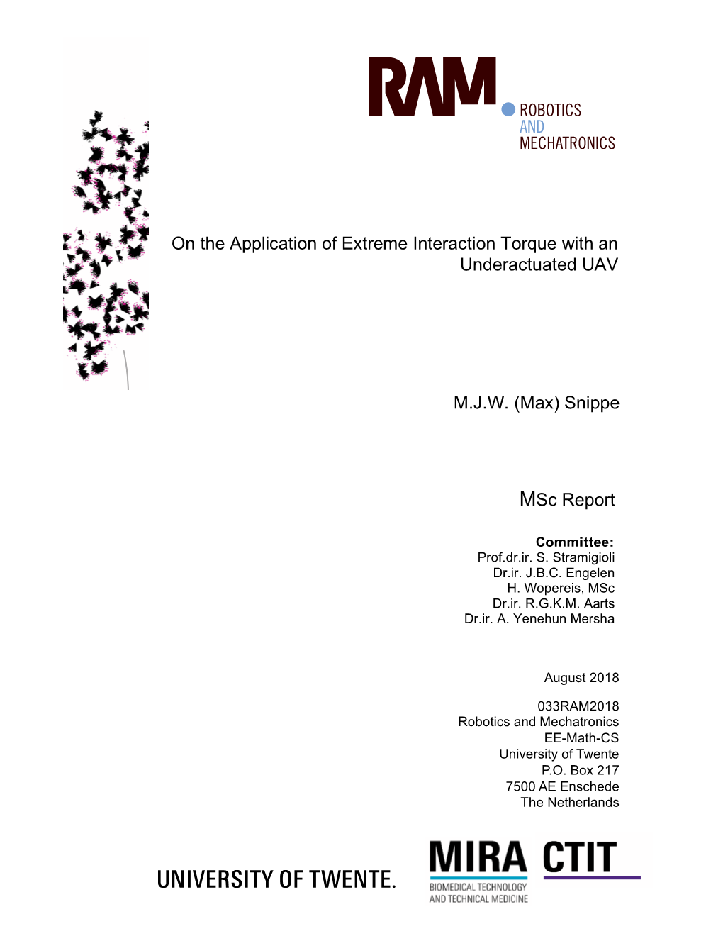 Snippe Msc Report