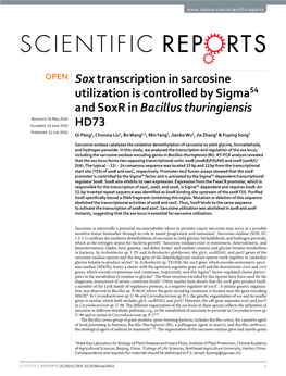 Sox Transcription in Sarcosine Utilization Is Controlled by Sigma54