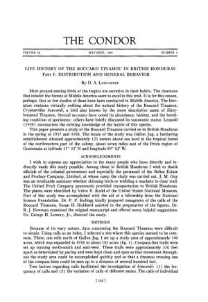 Life History of the Boucard Tinamou in British Honduras. Part I