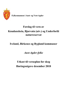 Høringsdokumentet