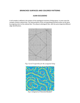 Branched Surfaces and Colored Patterns Juan