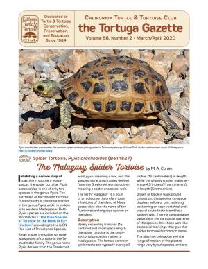 The Tortuga Gazette and Education Since 1964 Volume 56, Number 2 • March/April 2020