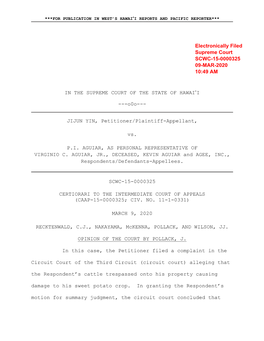 JIJUN YIN, Petitioner/Plaintiff-Appellant, Vs. PI