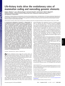 Life-History Traits Drive the Evolutionary Rates of Mammalian Coding and Noncoding Genomic Elements