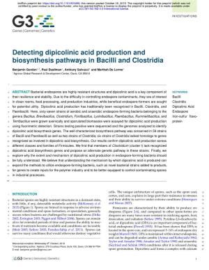 Detecting Dipicolinic Acid Production and Biosynthesis Pathways in Bacilli and Clostridia