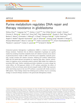 Purine Metabolism Regulates DNA Repair and Therapy Resistance in Glioblastoma