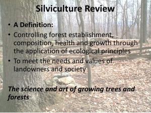 Silviculture Review