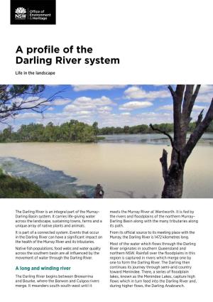 A Profile of the Darling River System