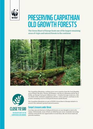 Preserving Carpathian Old Growth Forests