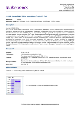 Human OX40 / CD134 Recombinant Protein (Fc Tag)