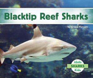 Blacktip Reef Sharks by Grace Hansen