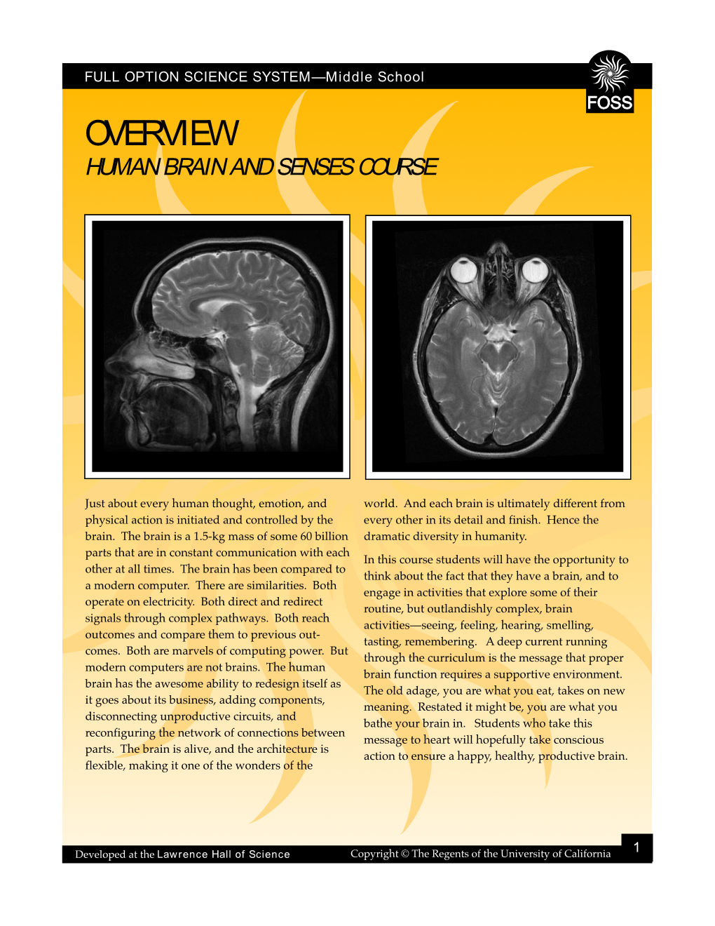 Overview Human Brain and Senses Course