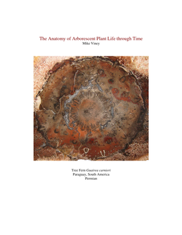 The Anatomy of Arborescent Plant Life Through Time Mike Viney