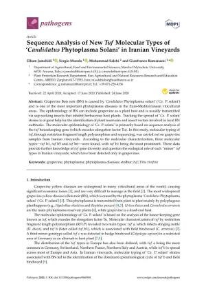 Candidatus Phytoplasma Solani’ in Iranian Vineyards