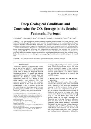 Deep Geological Conditions and Constrains for CO2 Storage in The