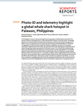 Photo-ID and Telemetry Highlight a Global Whale Shark Hotspot In