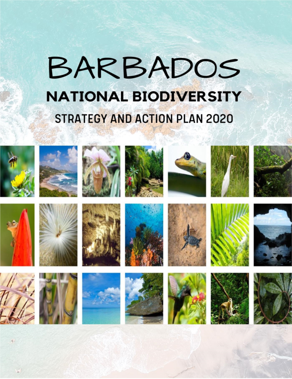 National Biodiversity Strategy And Action Plan (NBSAP) And Consists Of ...