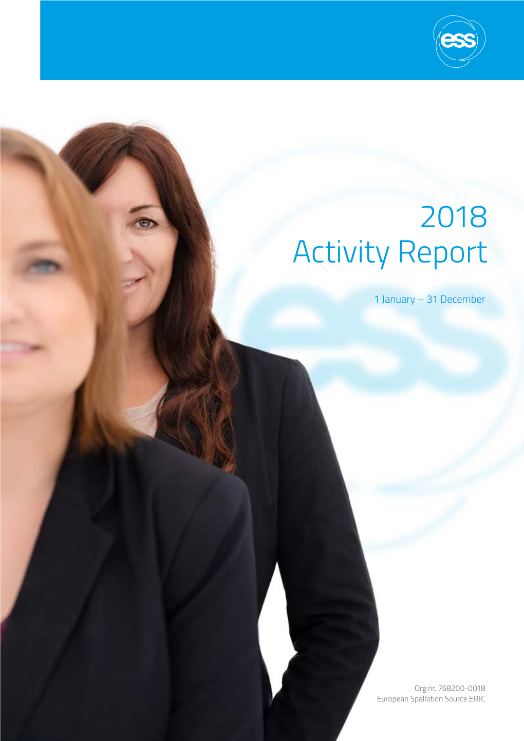 2018 Activity Report