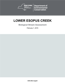 LOWER ESOPUS CREEK Biological Stream Assessment February 1, 2015