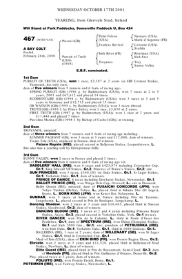 WEDNESDAY OCTOBER 17TH 2001 YEARLING, from Glenvale Stud, Ireland