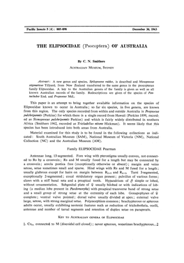 THE ELIPSOCIDAE (Psocoptera) of AUSTRALIA