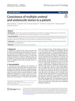 Coexistence of Multiple Ureteral and Ureterocele Stones in a Patient