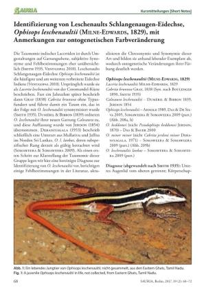 Identifizierung Von Leschenaults Schlangenaugen-Eidechse, Ophisops Leschenaultii (MILNE-EDWARDS, 1829), Mit Anmerkungen Zur Ontogenetischen Farbveränderung