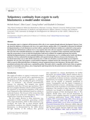 Totipotency Continuity from Zygote to Early Blastomeres: a Model Under Revision