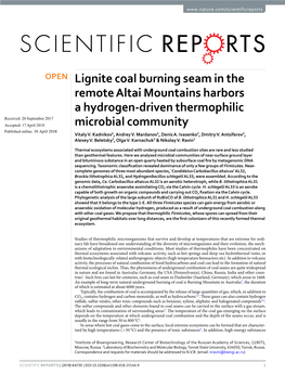 Lignite Coal Burning Seam in the Remote Altai Mountains Harbors A