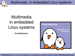 Multimedia in Embedded Linux Systems