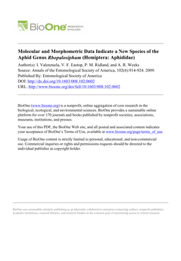 Molecular and Morphometric Data Indicate a New Species of the Aphid Genus Rhopalosiphum (Hemiptera: Aphididae) Author(S): I