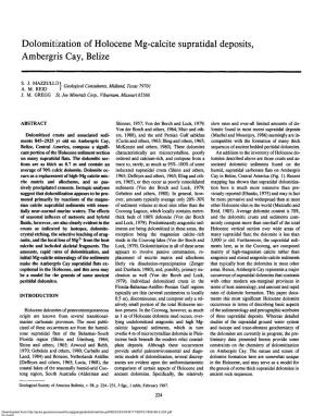 Dolomitization of Holocene Mg-Calcite Supratidal Deposits, Ambergris Cay, Belize