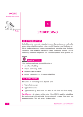 Lesson-8 Embedding