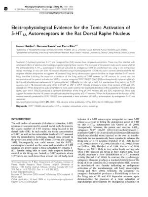 Electrophysiological Evidence for the Tonic Activation of 5-HT1A Autoreceptors in the Rat Dorsal Raphe Nucleus