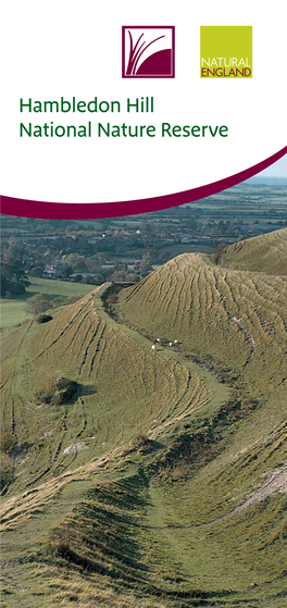 Hambledon Hill National Nature Reserve Man’S Influence on Hambledon Hill Has Been Hambledon Hill Profound, but Spread Across Thousands of Years