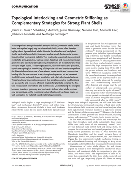 Topological Interlocking and Geometric Stiffening As Complementary Strategies for Strong Plant Shells
