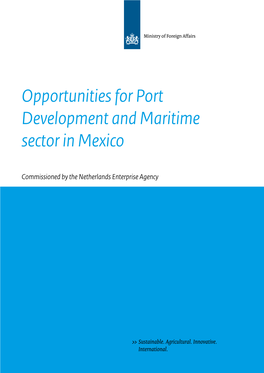 Opportunities for Port Development and Maritime Sector in Mexico
